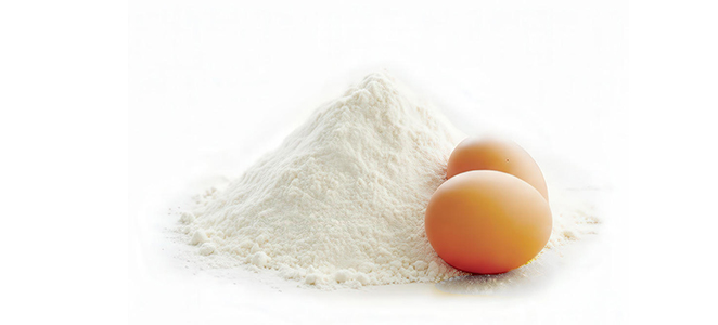  egg powder
